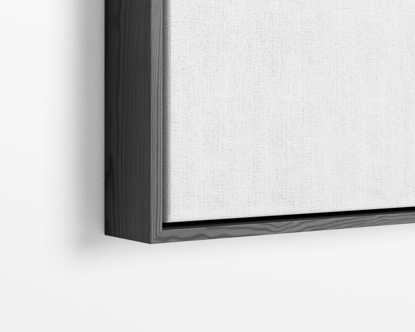 Premium Float Frame