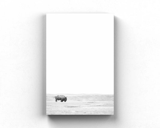 Bison & Bird