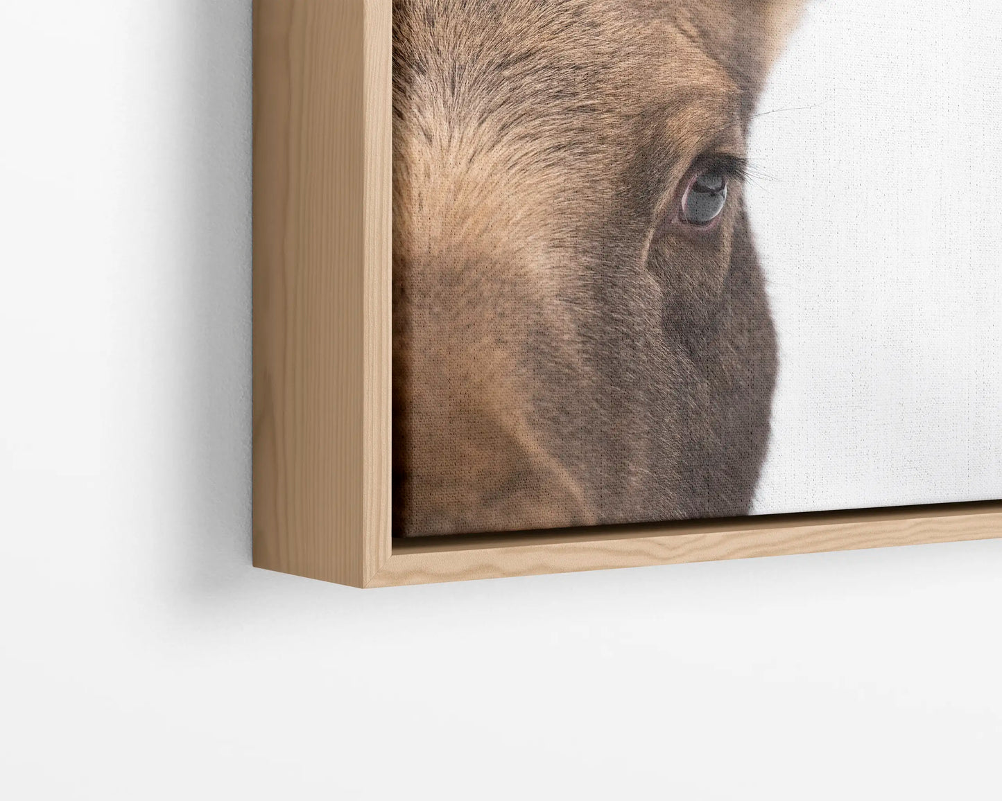 Mama Moose