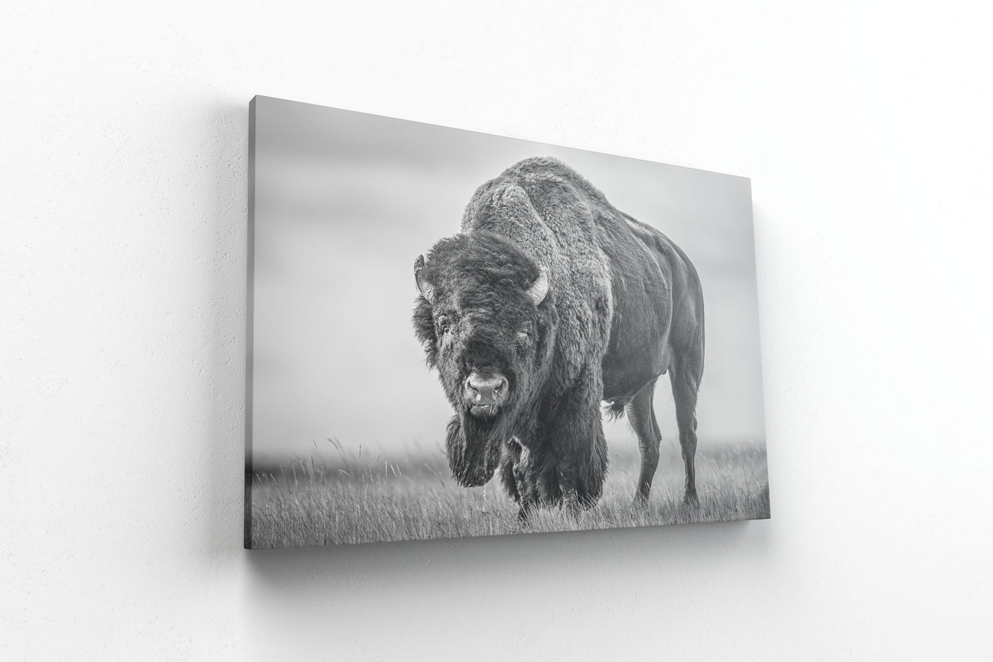 Will of the Wanderer