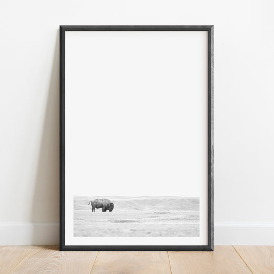 Bison & Bird