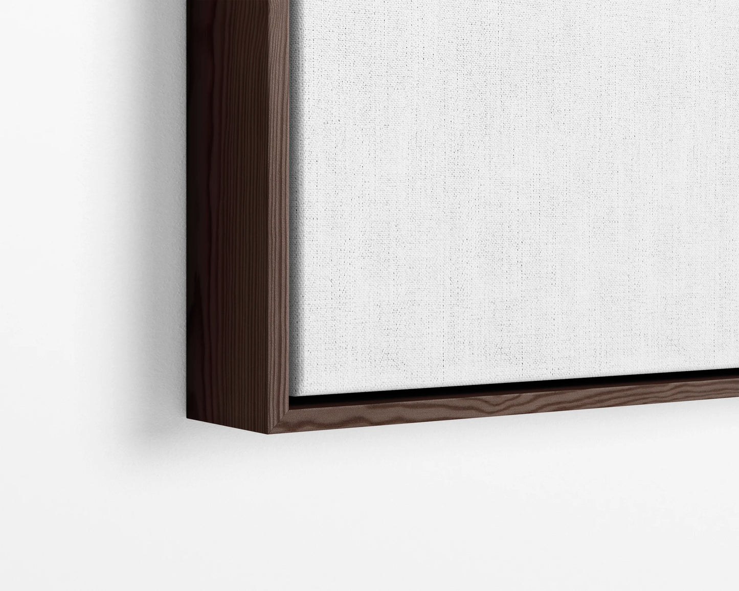 Premium Float Frame