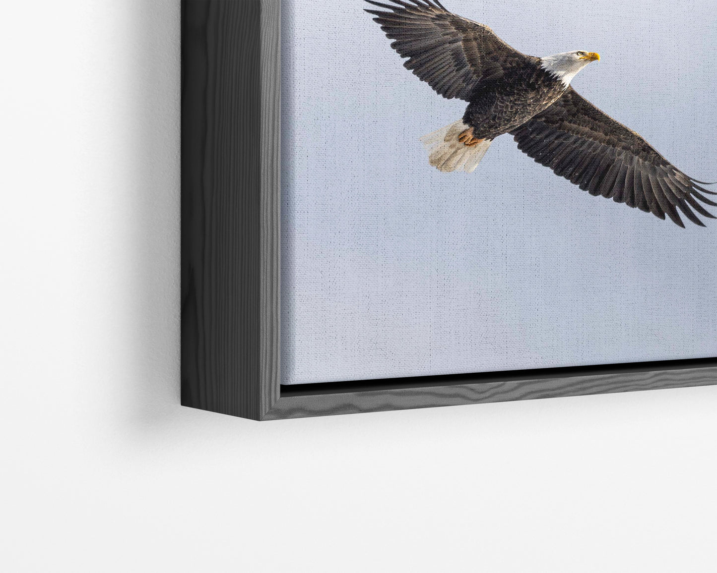 Premium Float Frame