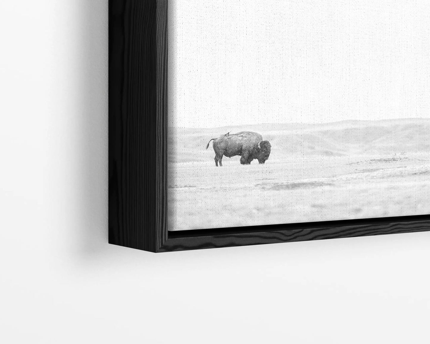 Bison & Bird
