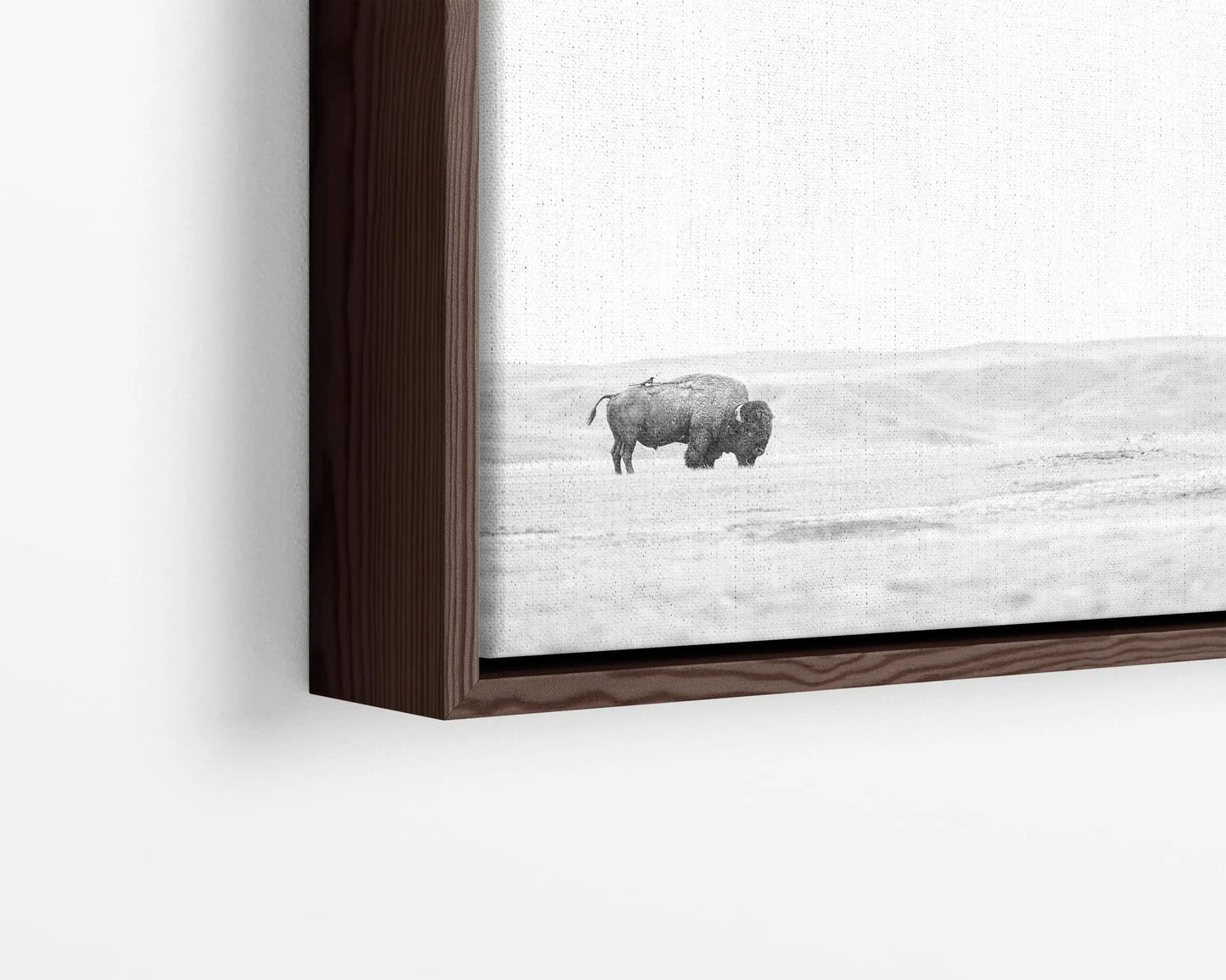 Bison & Bird