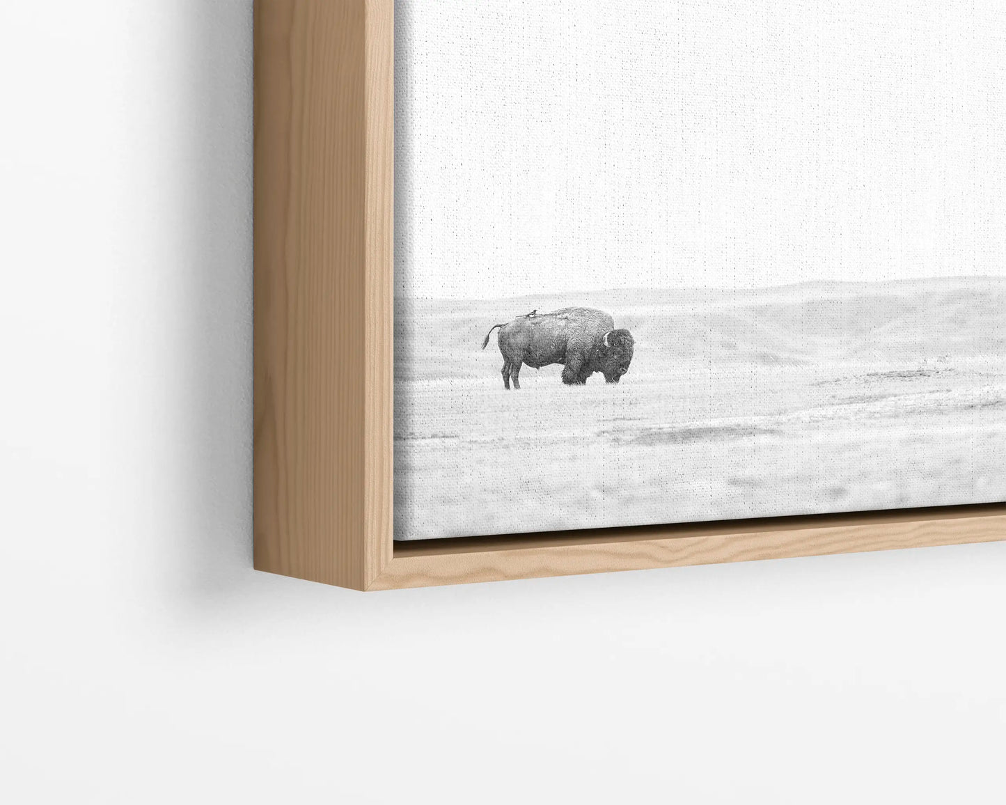 Bison & Bird