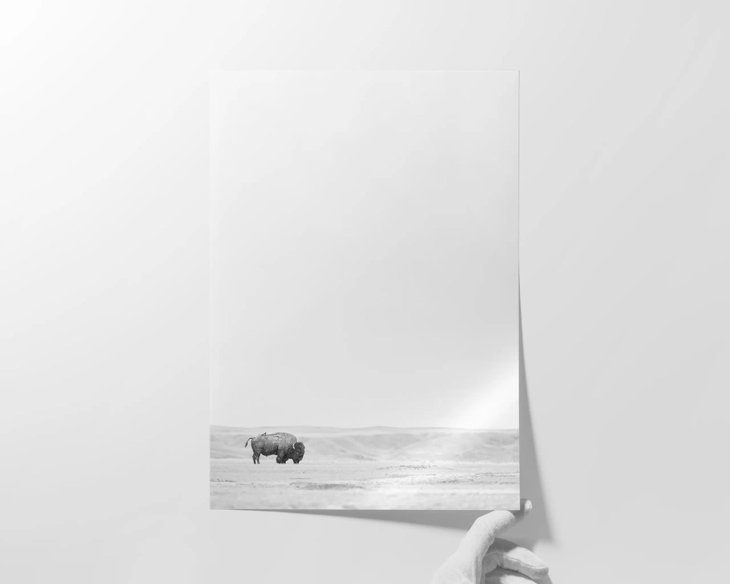 Bison & Bird
