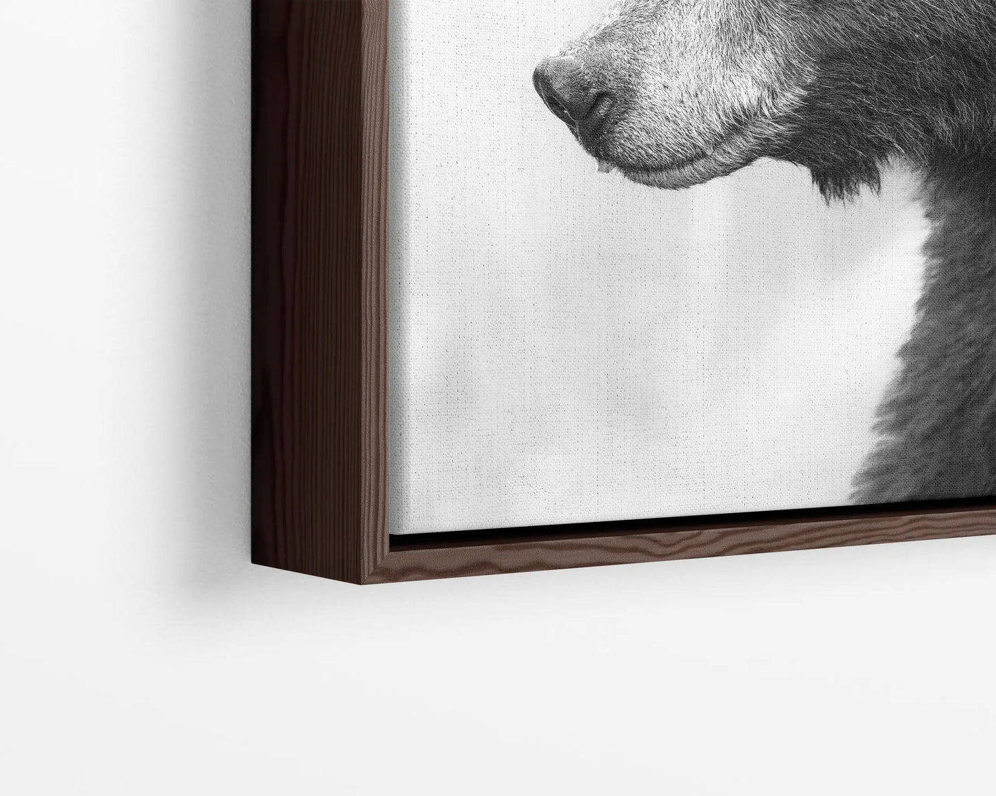 Black Bear's Gaze