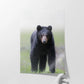Spring Bear