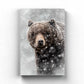 Blizzard Grizz