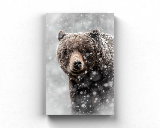 Blizzard Grizz