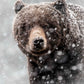 Blizzard Grizz