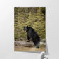 Boudoir Bear