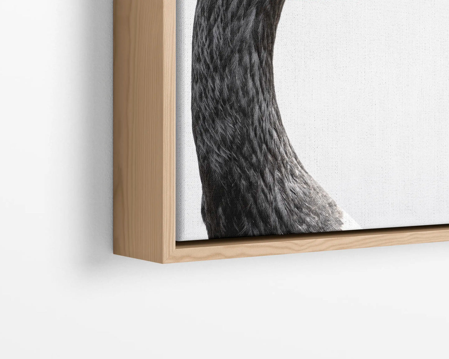 Canada Goose Portrait