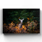 Autumn Doe