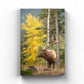 Elk in Fall Colours