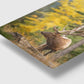 Elk in Fall Colours
