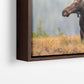 Fall Moose 2