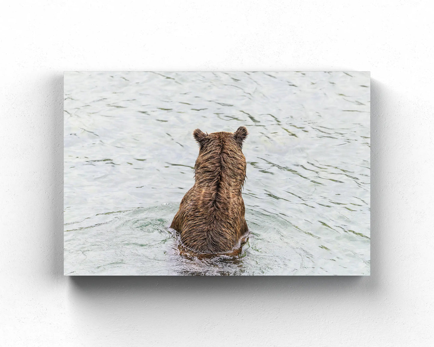 Fishing Bear