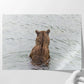 Fishing Bear