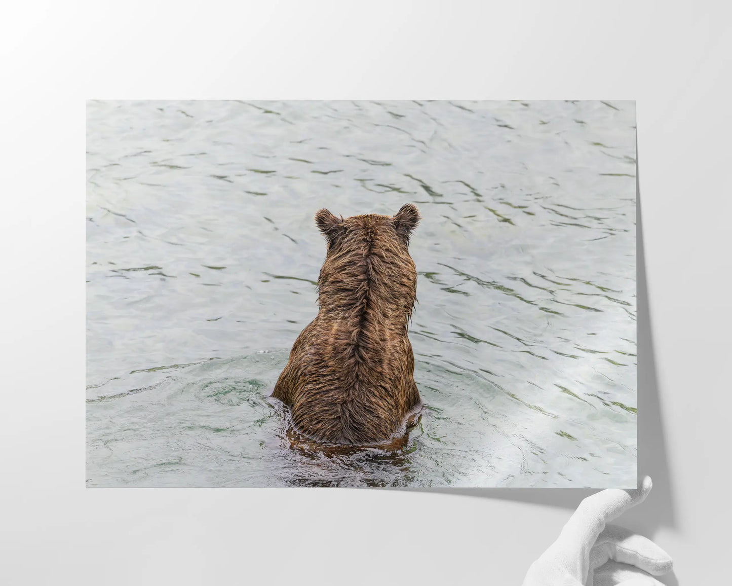 Fishing Bear