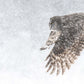Owl flying in the snow with wings spread