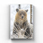 Goldilocks 2