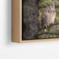 Great Horned Owl