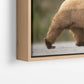 Premium Float Frame