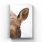 Mama Moose