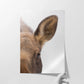 Mama Moose