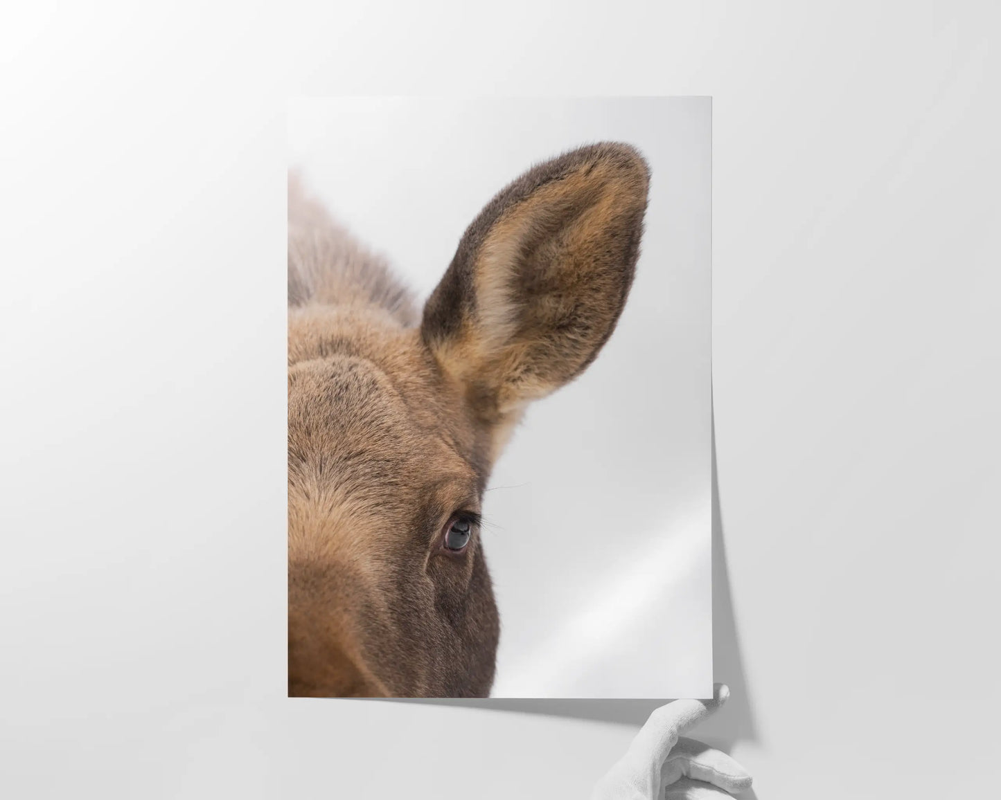 Mama Moose