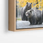 Millenial Bears