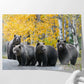 Millenial Bears