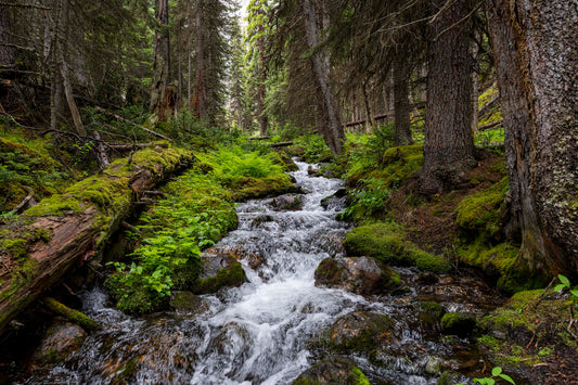 Mossy Rocks