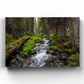 Mossy Rocks