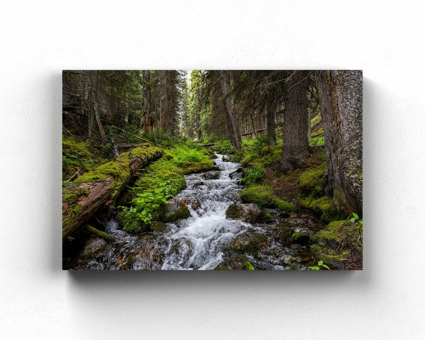Mossy Rocks