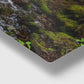 Mossy Rocks
