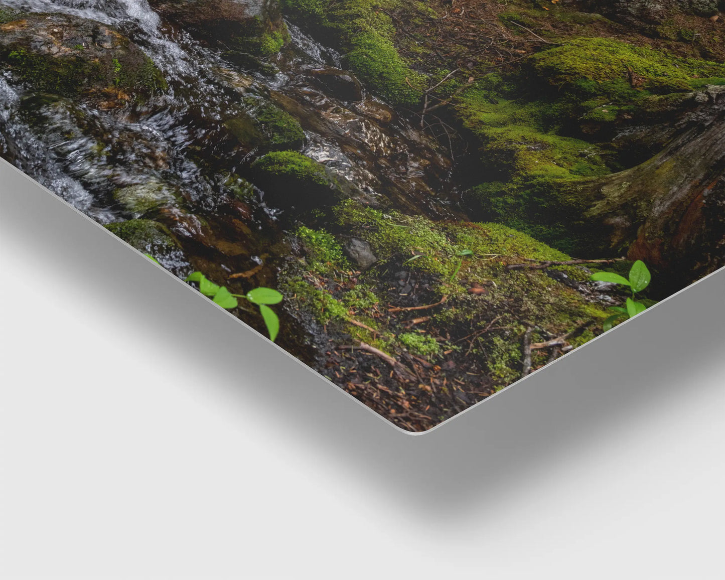 Mossy Rocks