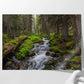 Mossy Rocks