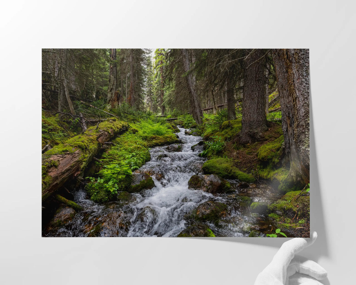 Mossy Rocks