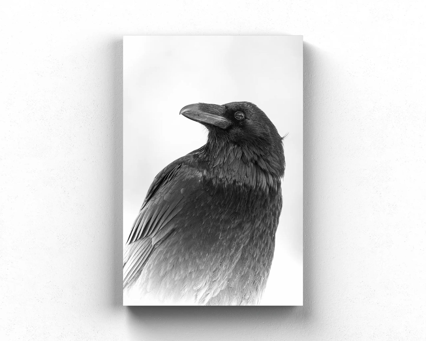Solemn Wisdom