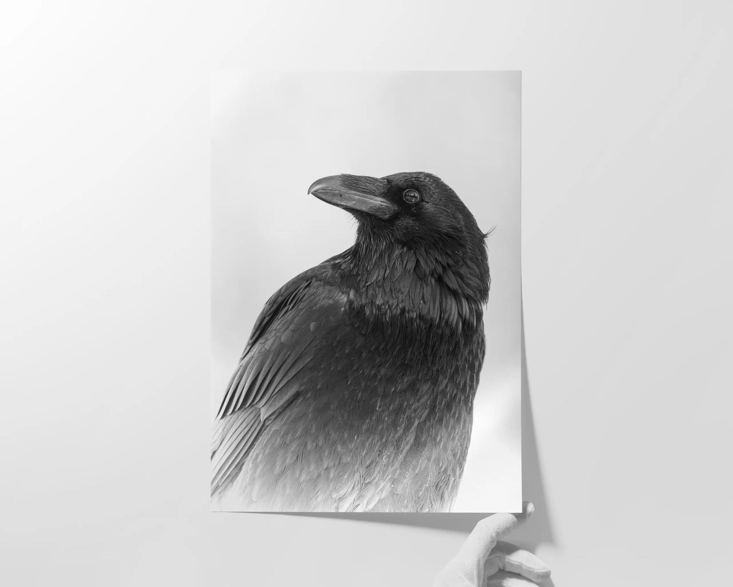 Solemn Wisdom