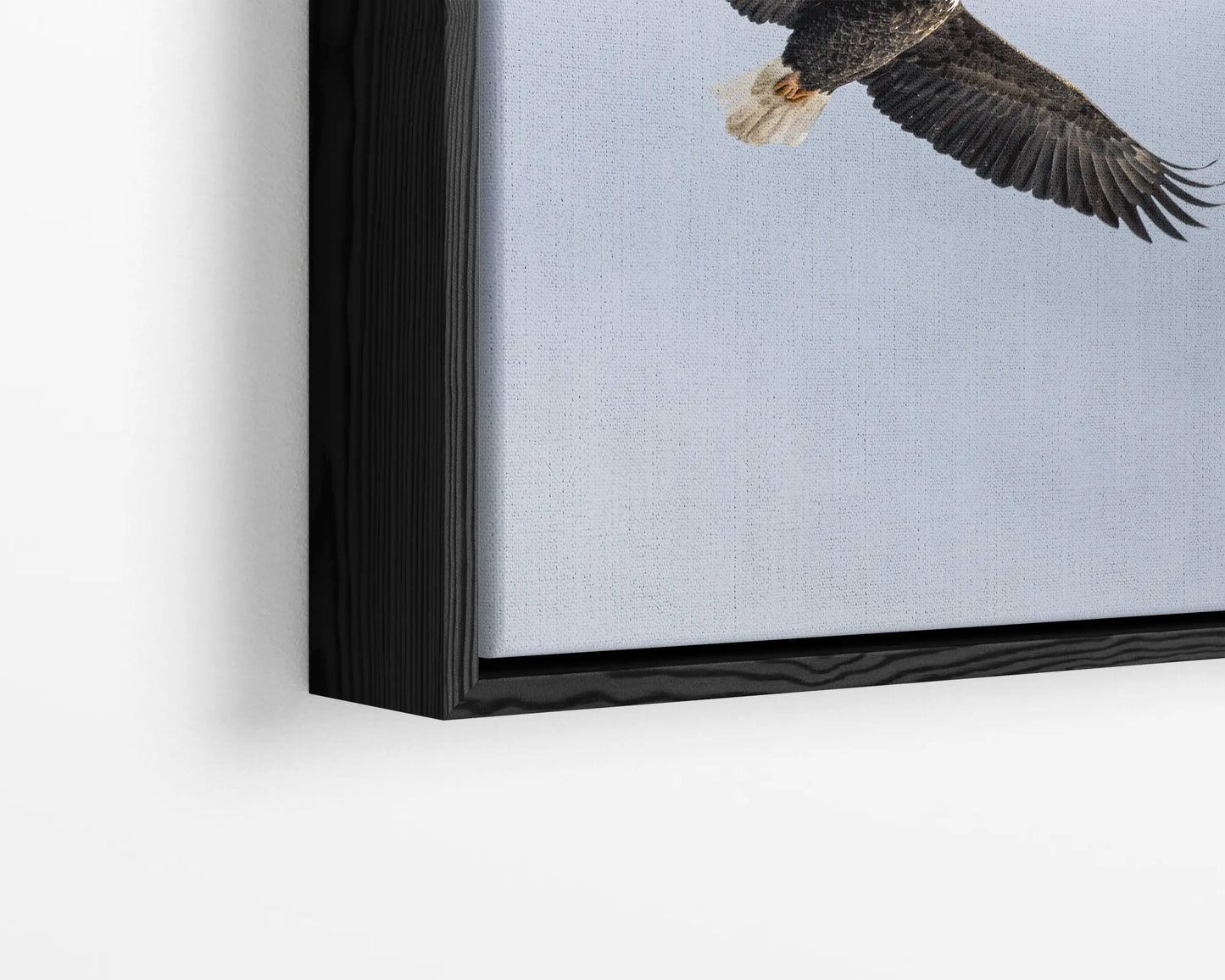 Soar
