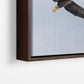 Soar
