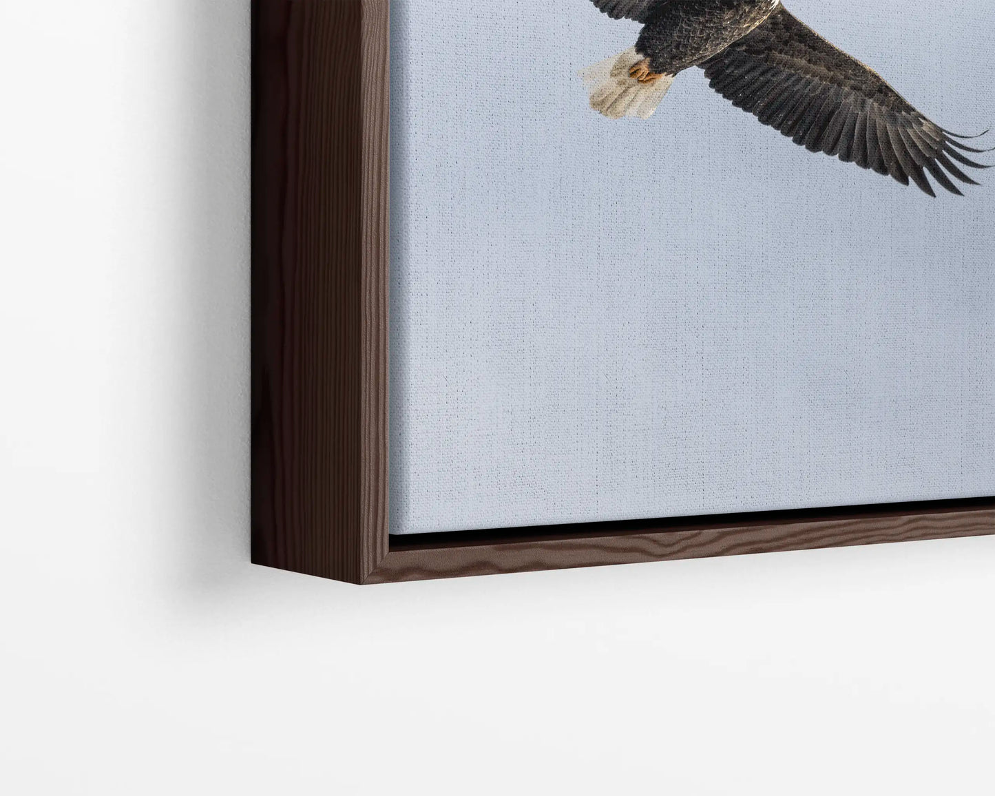 Soar