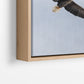 Soar