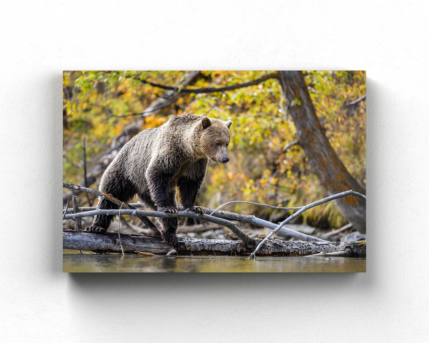 Tree Stand Hunter