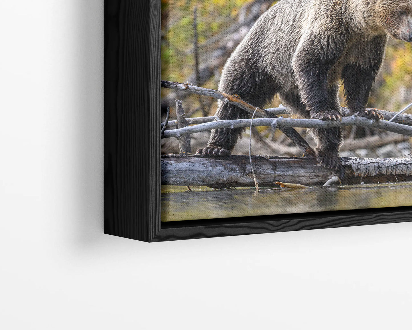 Tree Stand Hunter
