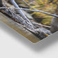 Tree Stand Hunter